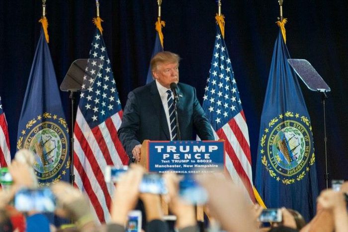 With his boundless energy and outsized ego, Donald Trump has defied all predictions, proving to be a tenacious adversary for the far more experienced Hillary Clinton