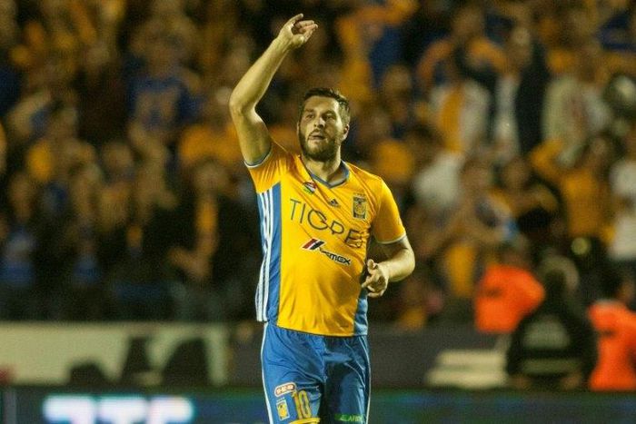 Tigres' forward Andre-Pierre Gignac saw a hypnotist so he could break a two month goal drought