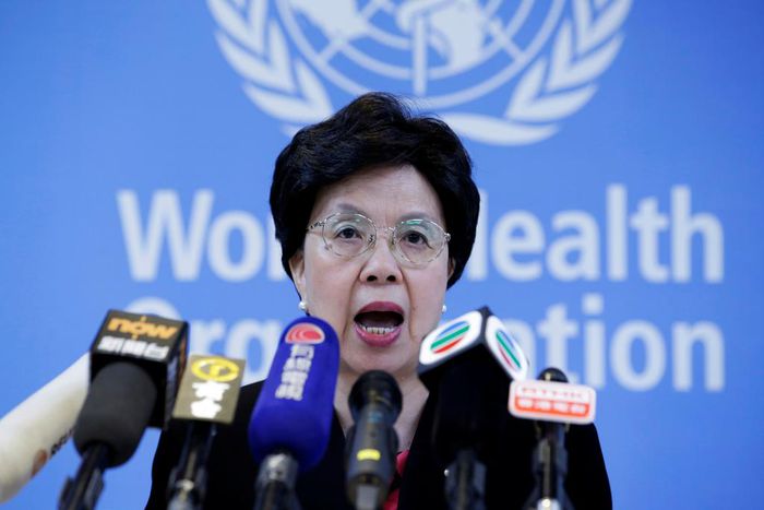 4 former health ministers, 2 UN experts vie for top WHO post