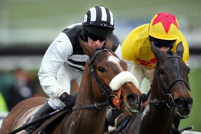 Moscow Flyer (left) won 26 of his 44 starts, including 10 Grade One events between 1999 and 2006