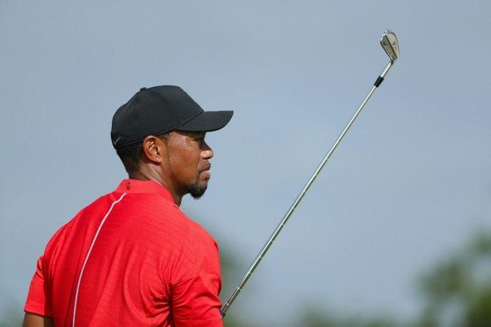 Former world number one Tiger Woods returned to golf in December at the Hero World Challenge in the Bahamas, coming back from a 15-month injury layoff
