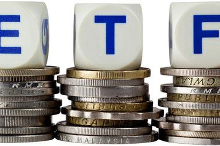 Exchange traded funds (ETFs)