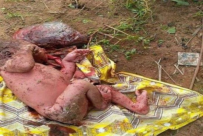 ___5373493___https:______static.pulse.com.gh___webservice___escenic___binary___5373493___2016___8___12___17___Abandoned-Baby-Abuja