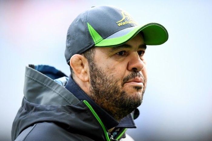 Michael Cheika has been coaching the Wallabies since 2014