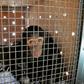 Four-year-old chimpanzee Manno, rescued by Animals Lebanon from a zoo in Duhok, Iraq after being trafficked from Syria, sits in a transport crate before his flight to Sweetwaters Chimpanzee Sanctuary in Kenya