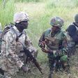 Troops block insurgents’ movement in, out of Sambisa forest