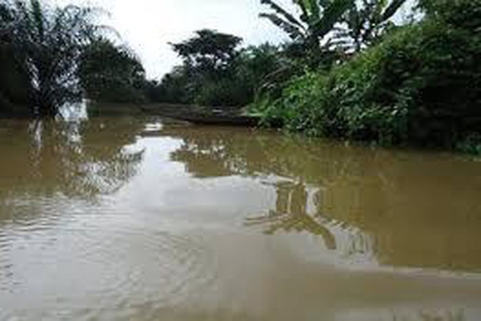 Man drowns in river while trying to escape from the police.