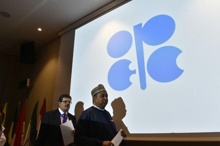Secretary General of the Organization of Petroleum Exporting Countries (OPEC), Nigeria's Mohammed Barkindo (R), arrives for a press conference following an informal meeting between OPEC members in the Algerian capital Algiers on September 28, 2016