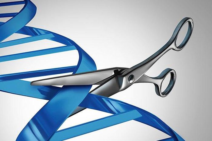 Gene-editing could wipe out geniuses