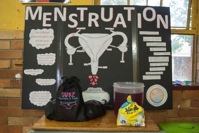 A poster used to educate girls about menstruation and female reproductive system is seen in Soweto
