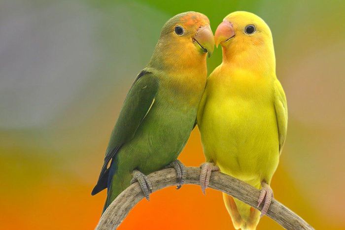 How happy couples tackle 3 of the most common relationship fights