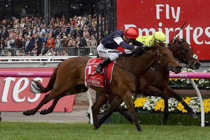 Jockey Kerrin McEvoy on Almandin (L) pips Joao Moreira on Heartbreak City to the line during the Melbourne Cup at Flemington Racecourse in Melbourne on November 1, 2016