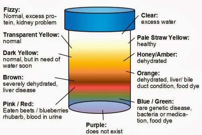 Launuka guda biyar na fitsárí da kuma maʼanar sa