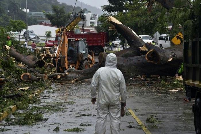 Workers cut a tree that killed a boy when it fell during heavy weather caused by Hurricane Otto in Panama City on November 22, 2016