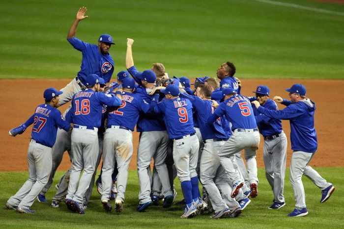 The cubs win World series