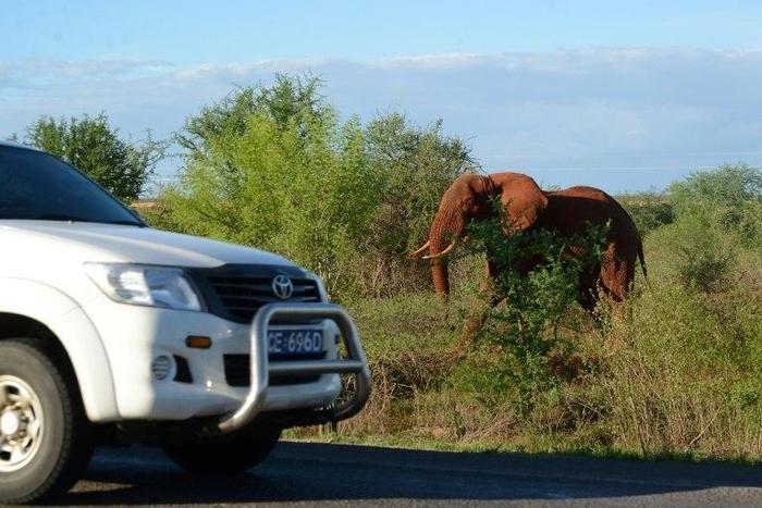 Twenty-six poachers have been caught at night by a new thermal and infrared camera in Kenya's Maasai Mara and its other national parks