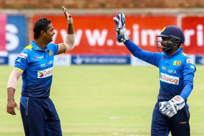 Sri Lanka bowler Asela Gunaratne (L) celebrates a wicket with wicketkeeper Niroshan Dickwella (R) during the final of the Blue Mountain Achilleion Tri-Series against Zimbabwe at the Queens Sports Club in Bulawayo, on November 27, 2016