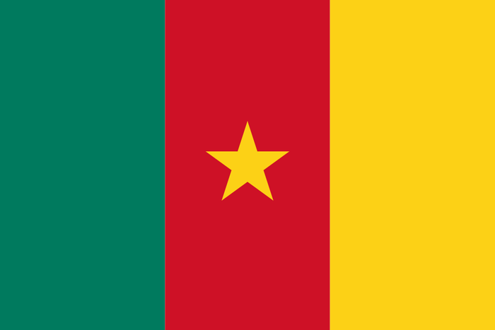 Falg of Cameroon