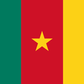 Falg of Cameroon
