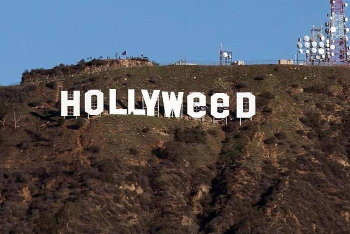 ___5987293___https:______static.pulse.com.gh___webservice___escenic___binary___5987293___2017___1___3___20___Hollyweed