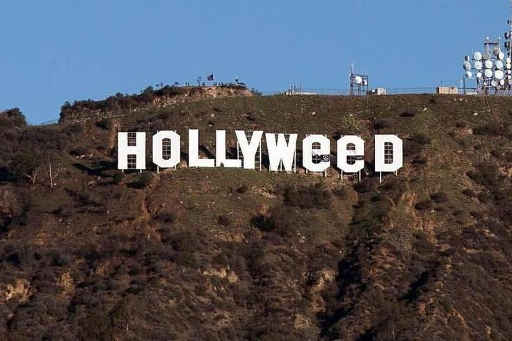 ___5987293___https:______static.pulse.com.gh___webservice___escenic___binary___5987293___2017___1___3___20___Hollyweed