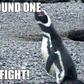 ___5712381___https:______static.pulse.com.gh___webservice___escenic___binary___5712381___2016___11___5___10___Penguins+round+one