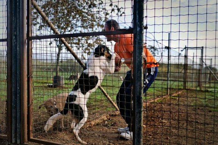 A prisoner in the high security prison at Monsanto in Lisbon cuddles a dog at a kennel staffed by inmates, and dubbed the "Dog's House"