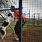 A prisoner in the high security prison at Monsanto in Lisbon cuddles a dog at a kennel staffed by inmates, and dubbed the "Dog's House"