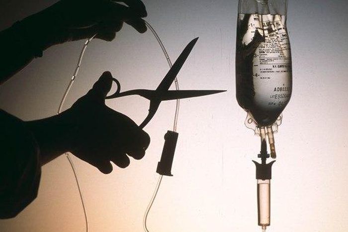 ___3888402___https:______static.pulse.com.gh___webservice___escenic___binary___3888402___2015___6___19___21___Euthanasia-cutting-the-cord-Mercatornet