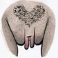 Vulva Gallery