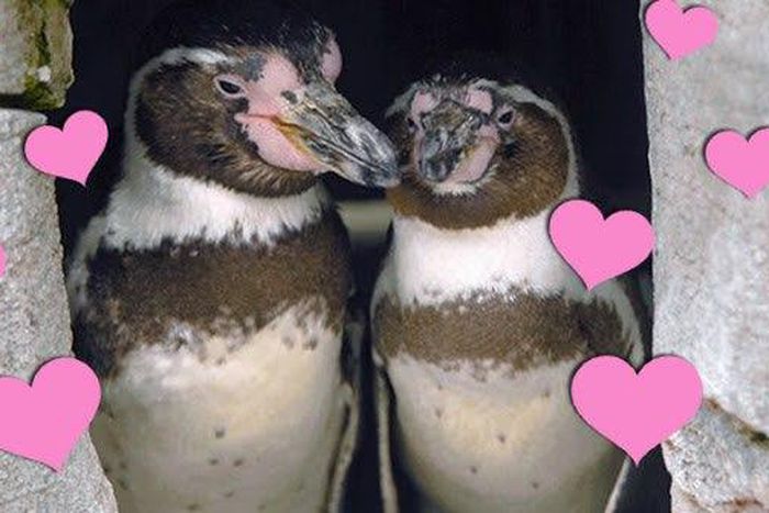 Dotty and Zee celebrate 10 years together