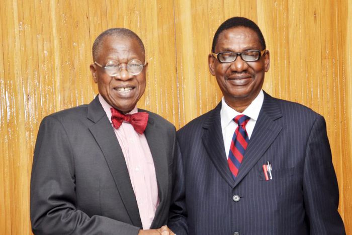 Lai Mohammed, Itse Sagay