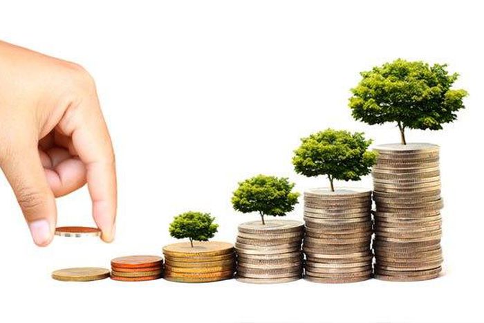 What kind of investor are you?