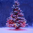 ___5039641___https:______static.pulse.com.gh___webservice___escenic___binary___5039641___2016___5___16___17___Christmas-Tree-Decoration