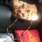 Handbag made from dead cat