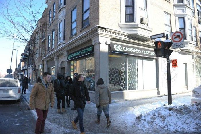 One of the illegal recreational cannabis stores that were opened recently in Montreal, Quebec