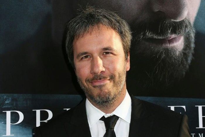 Canadian director Denis Villeneuve's "Arrival," is a subgenre of cerebral, lower budget movie has quietly insinuated itself into the mainstream