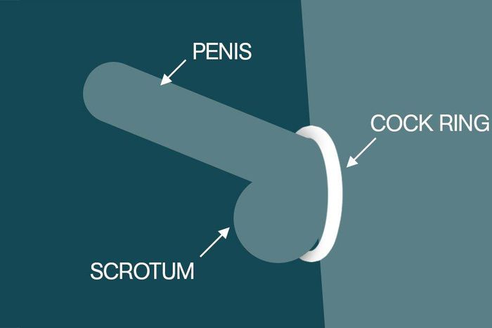 This sex toy helps you get harder, last longer, and have better orgasms