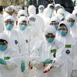 South Korea has issued its top bird flu warning alert, having already culled 16 million chicken and ducks