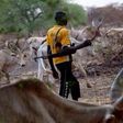 Fulani herdsman