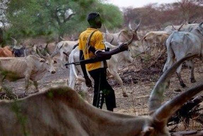 Fulani herdsman