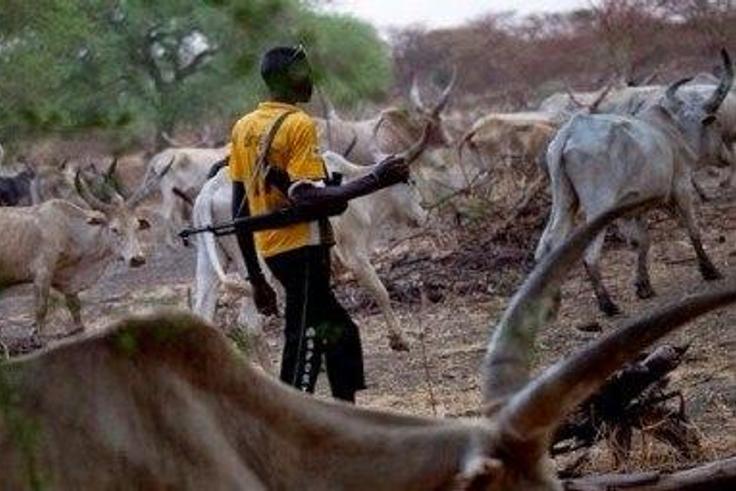 Fulani herdsman