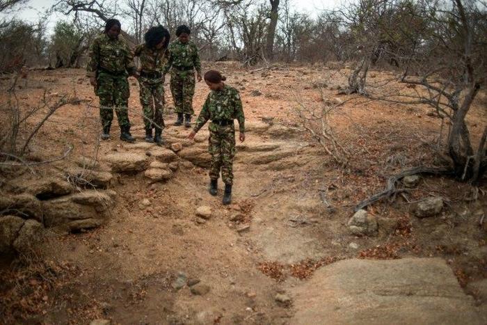 Female members of the anti-poaching team "Black Mambas" conduct a routine patrol through a wildlife reserve on September 25, 2016 in the Limpopo province of South Africa