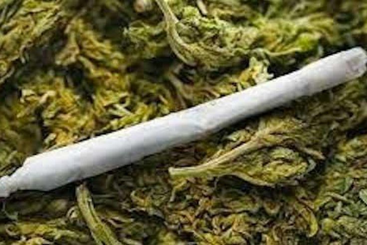 NDLEA said it has collected 3,400 kilograms of hard drugs in 2016.