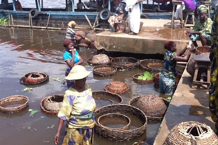 Seafood hunting in Epe