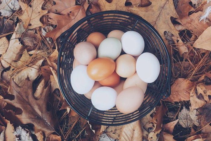 Exactly how much protein you should eat if you’re trying to lose weight