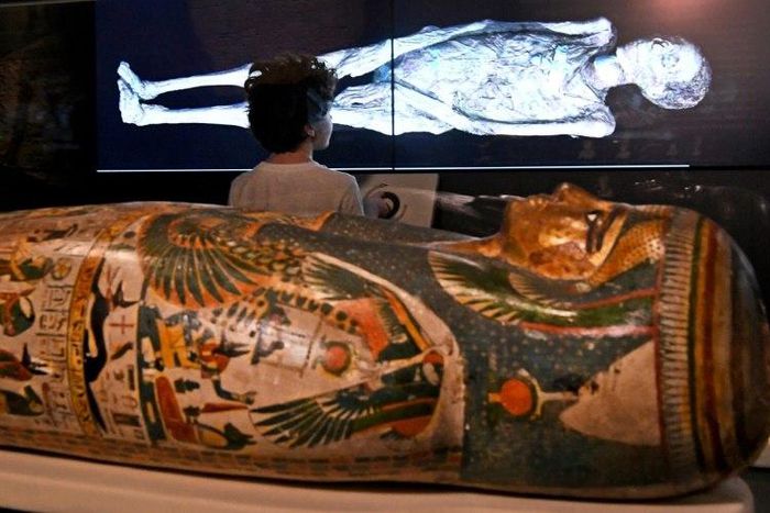 A young visitor looks at a 3D image of a CT scan of an Egyptian mummy, during a preview for a joint British-Australian exhibition in Sydney