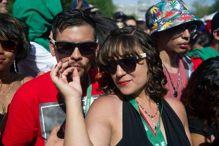 People attend the Denver 420 Rally, the world's largest celebration of both the legalization of cannabis and cannabis culture, in May, in Denver Coloroado