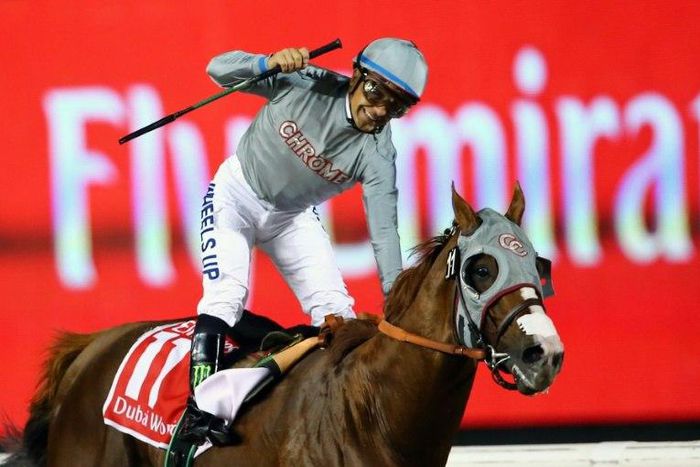 California Chrome won the Dubai World Cup race in March 2016 and is the even-money favorite for the $6 million Breeders' Cup Classic