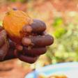 Orange fleshed sweet potato